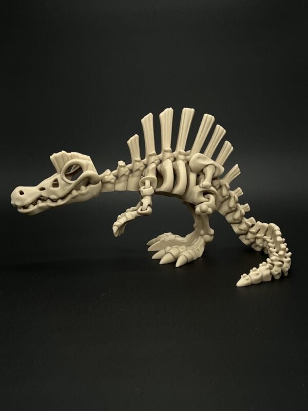 Spinosaurus - Image 4