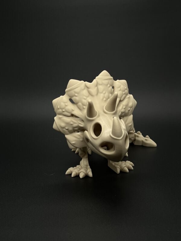 Triceratops - Image 2