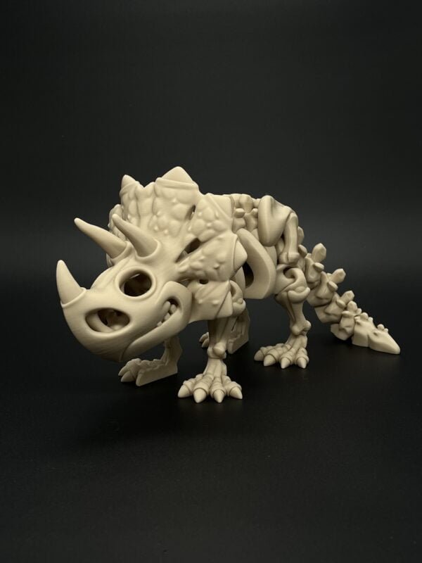 Triceratops