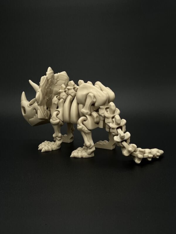 Triceratops - Image 4